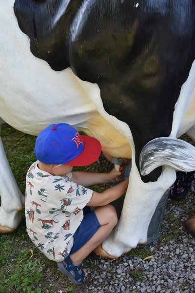 Kultura, Tradycja... i Placki! 2023